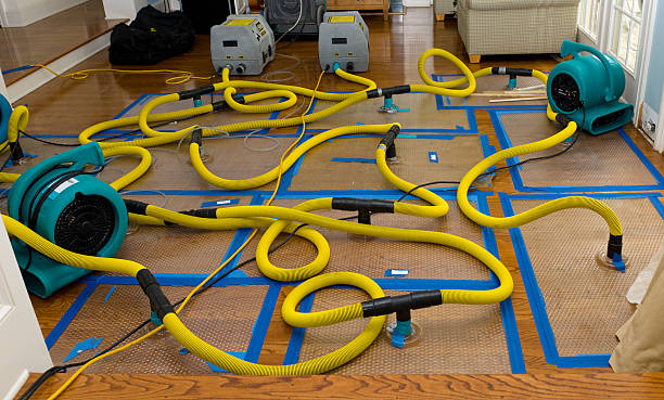 Professional Water Damage Restoration technician working in Bagdad, FL